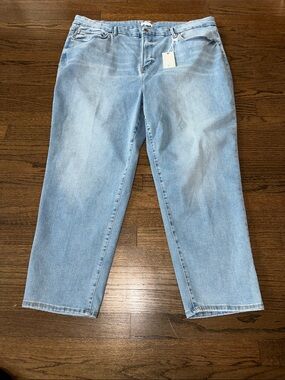 Good Classic Hi Rise Skinnyish Fit Women’s Stretch Plus Size Jeans